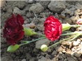 Karanfilčeki